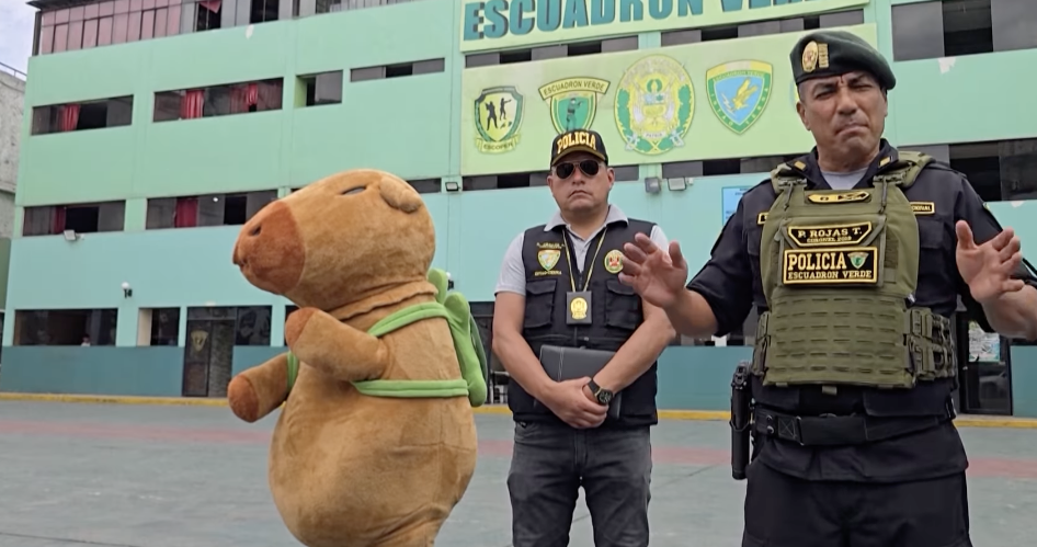 秘魯警察扮水豚抓毒販！超勇猛抓捕畫面曝光！網笑：這水豚的攻擊性太強！