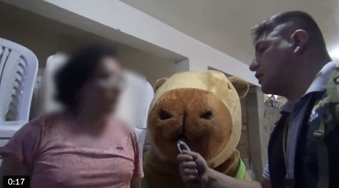 秘魯警察扮水豚抓毒販！超勇猛抓捕畫面曝光！網笑：這水豚的攻擊性太強！