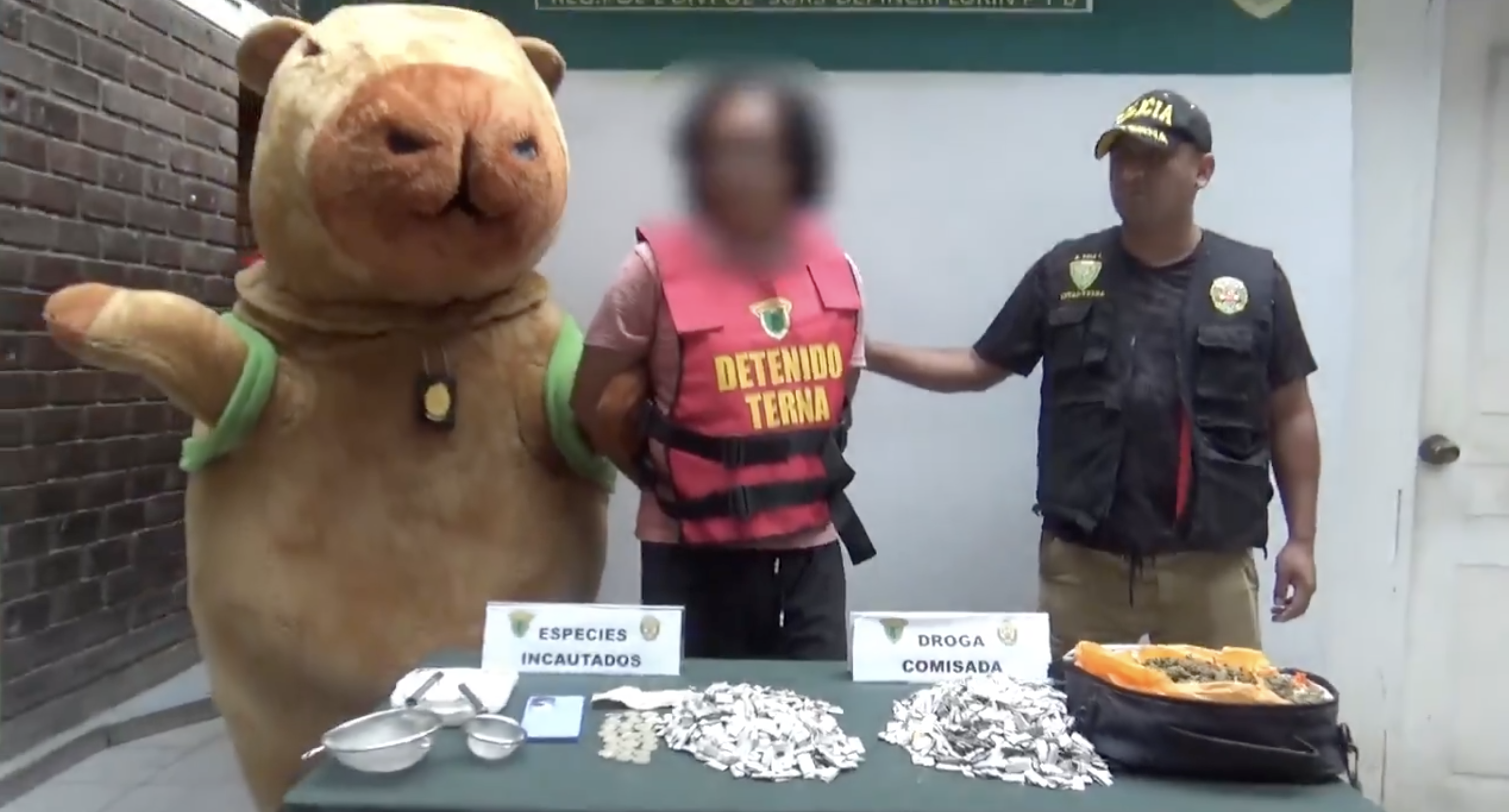 秘魯警察扮水豚抓毒販！超勇猛抓捕畫面曝光！網笑：這水豚的攻擊性太強！