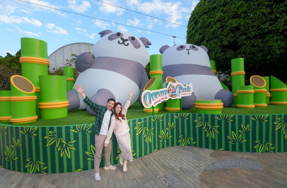 香港海洋公園匯集了壯麗景色、驚險刺激的遊樂設施、引人入勝的展覽，以及與動物近距離接觸的機會，打造關懷大自然、保育及教育的旅程，讓訪客獲得既愉快又有價值的體驗