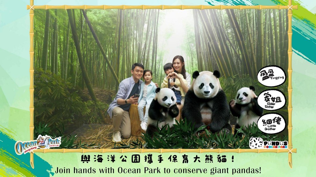 香港海洋公園提供多樣以大熊貓為主題的沉浸式體驗，訪客還可透過萌趣熊貓影相站的 AR 技術與可愛的大熊貓在香港海洋公園留下合照。
