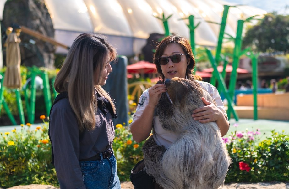 香港海洋公園年度盛事「親親動物月」將讓訪客近距離感受動物好友的超萌魅力與獨特習性。