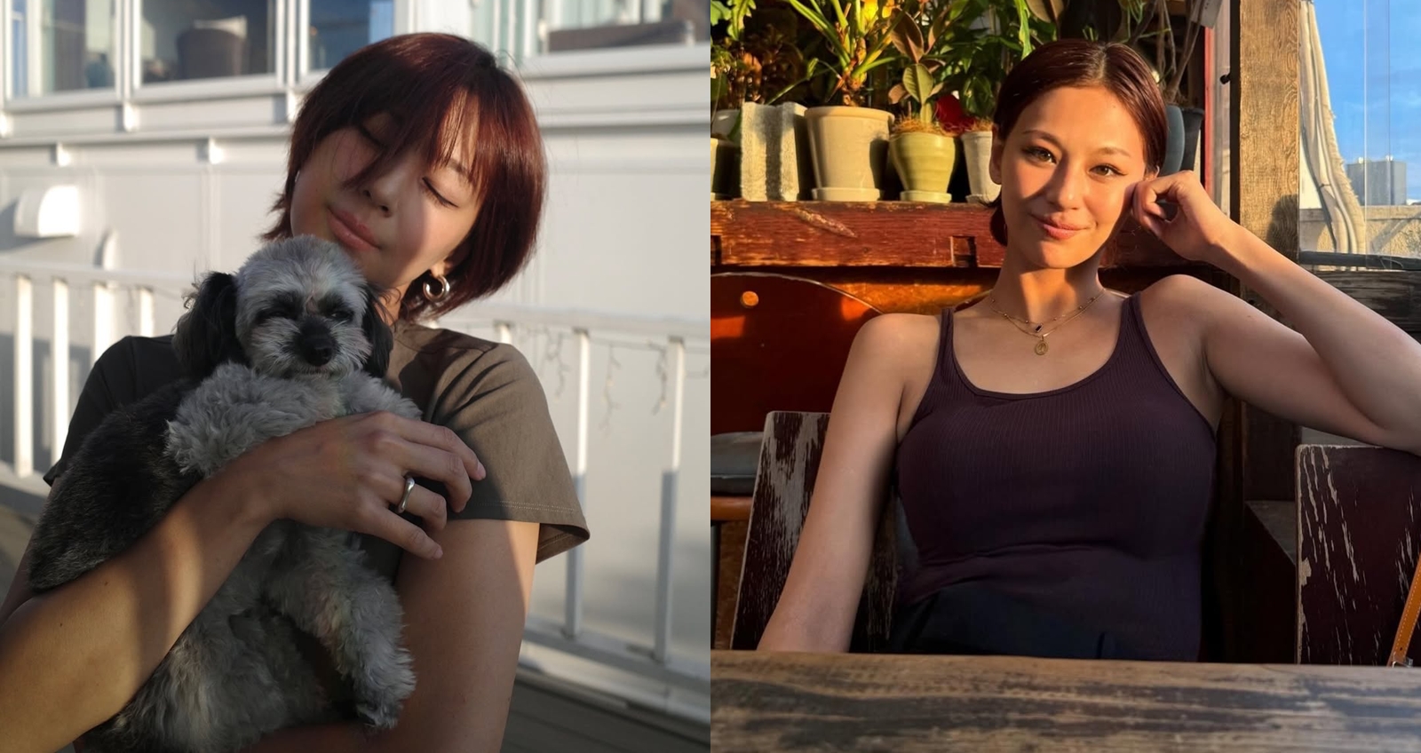 《AV帝王》西內麻里亞宣布引退。(圖:IG)