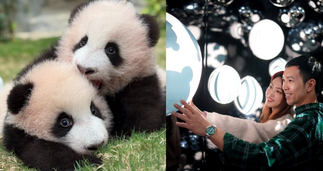 2025香港海洋公園夏季新玩法