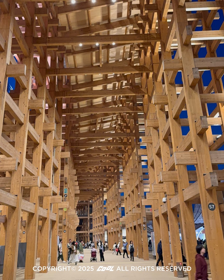 2025 遊日新方法：麗星郵輪探索星號「大阪＋高知」慢旅行！