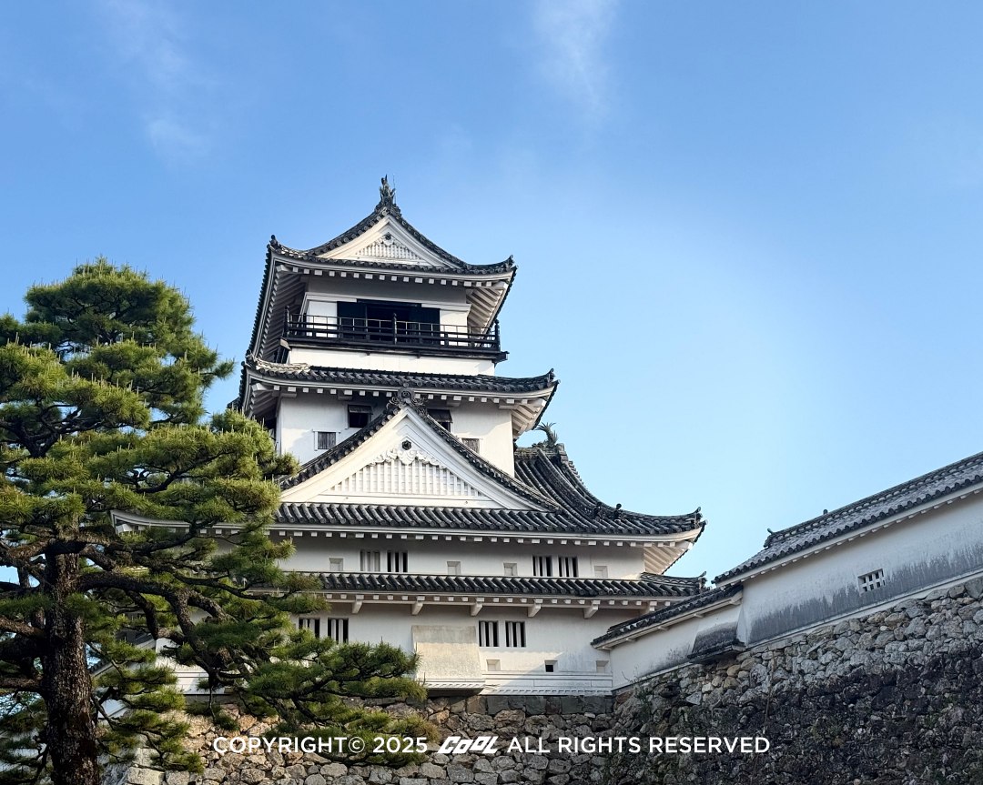 2025 遊日新方法：麗星郵輪探索星號「大阪＋高知」慢旅行！