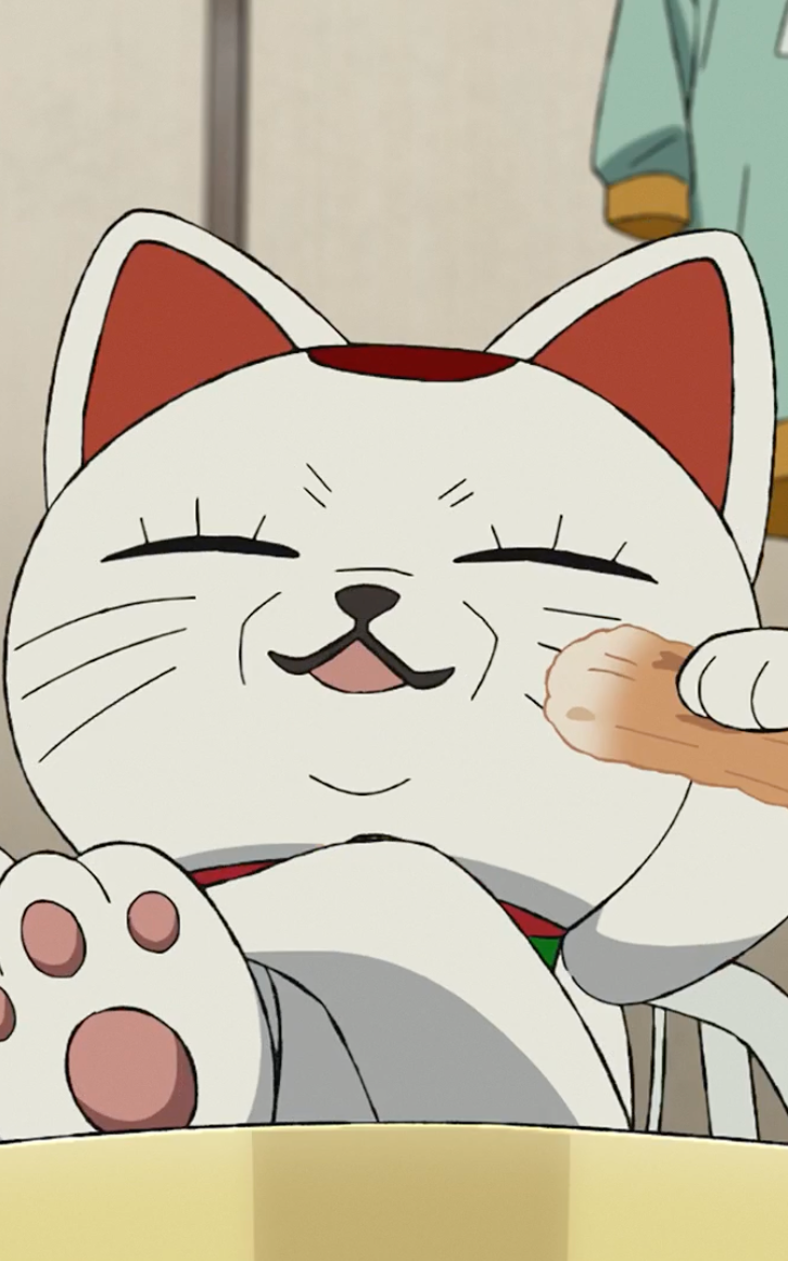 我要全部！DISNEY+ 知道你很餓！睽違已久《膽大黨》、《怪獸 8 號》第二季跟播輪番上陣！7 月熱門、獨家動漫都給你！