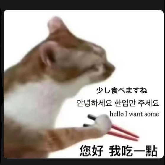 「您好 我吃一點」貓咪