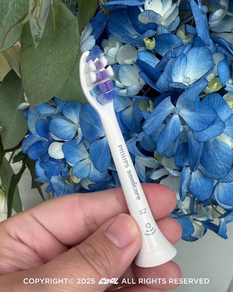全新「S2 棉花糖護敏刷頭」棉花糖般柔軟的觸感,降低刷牙造成的牙齒(牙本質)磨損風險