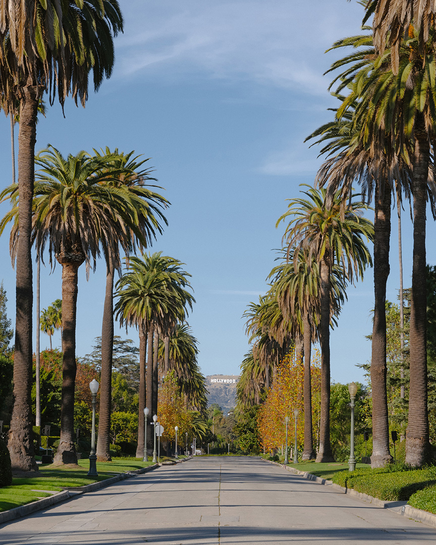 最後一舞即將登場！細數 10 個 Demna 在 Balenciaga 打造的經典之作！你追過幾個？