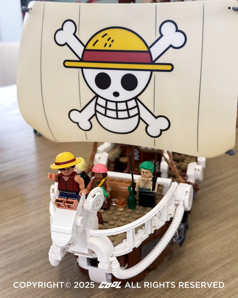 LEGO®航海王系列 #75639 前進梅利號海賊船
