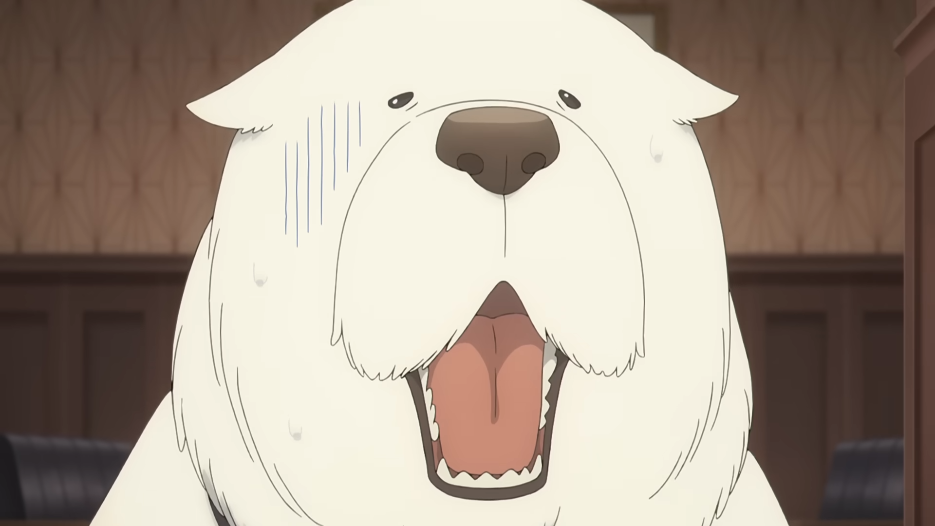 黃昏過去故事揭曉？《SPY×FAMILY 間諜家家酒》動畫第三季公開首波預告影片！