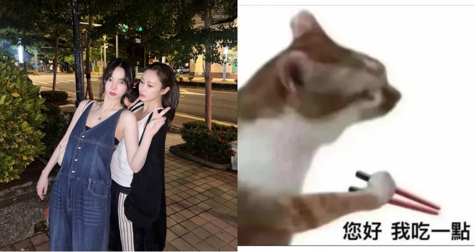 「你好 我吃一點」貓咪梗圖 Threads 爆紅！韓國網友神反擊笑翻：用魔法打敗魔法
