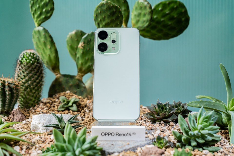 OPPO Reno14「薄荷綠」搶搭2025新潮流帕斯蒂爾風！跨界植物系餐廳推夏日輕食