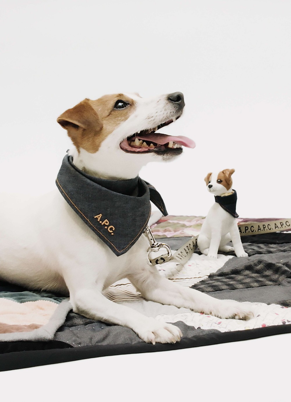 A.P.C. Dream Plaza 形象店盛大開幕！獨家引進 TOUTOU 寵物系列！