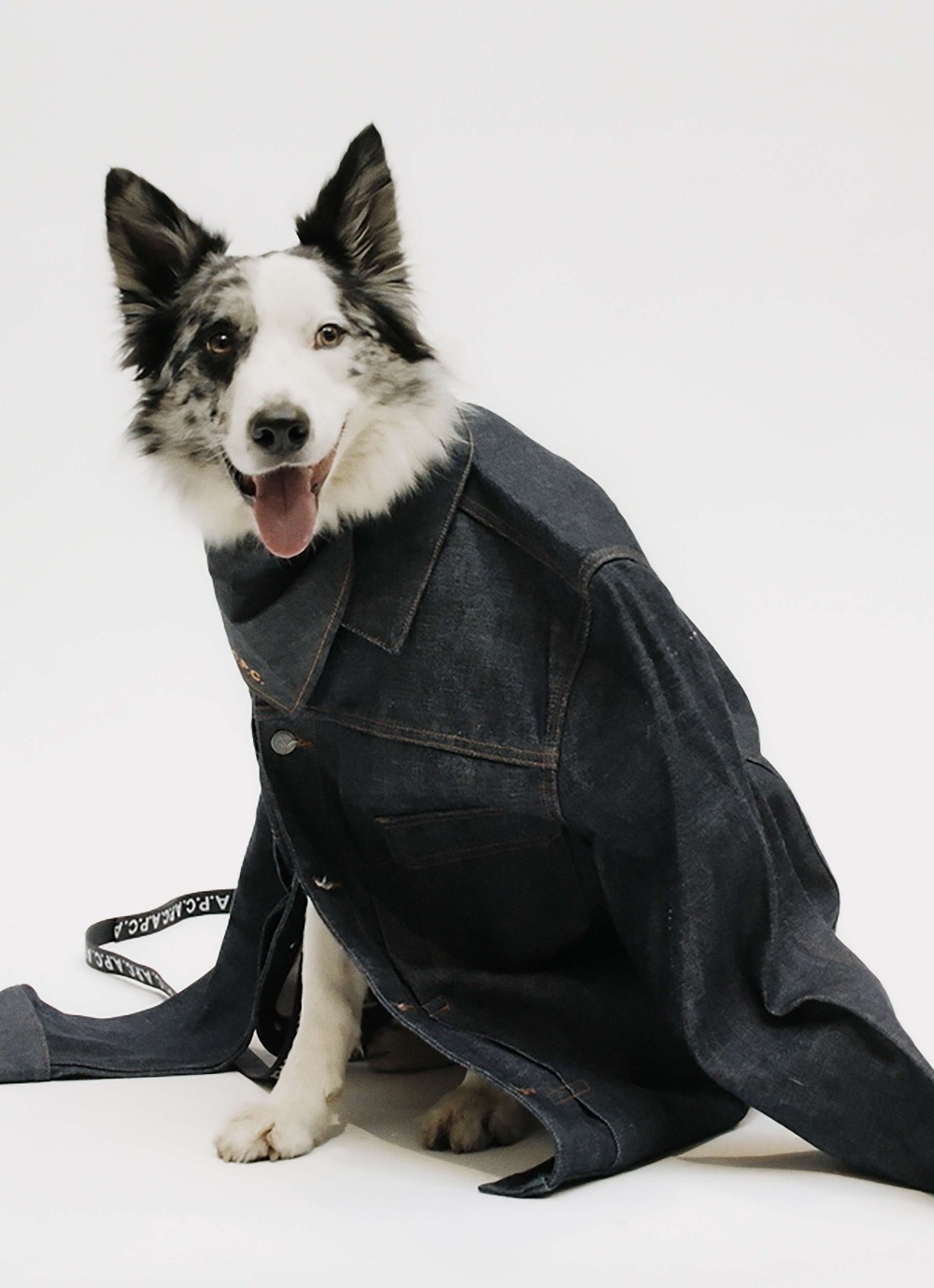 A.P.C. Dream Plaza 形象店盛大開幕！獨家引進 TOUTOU 寵物系列！