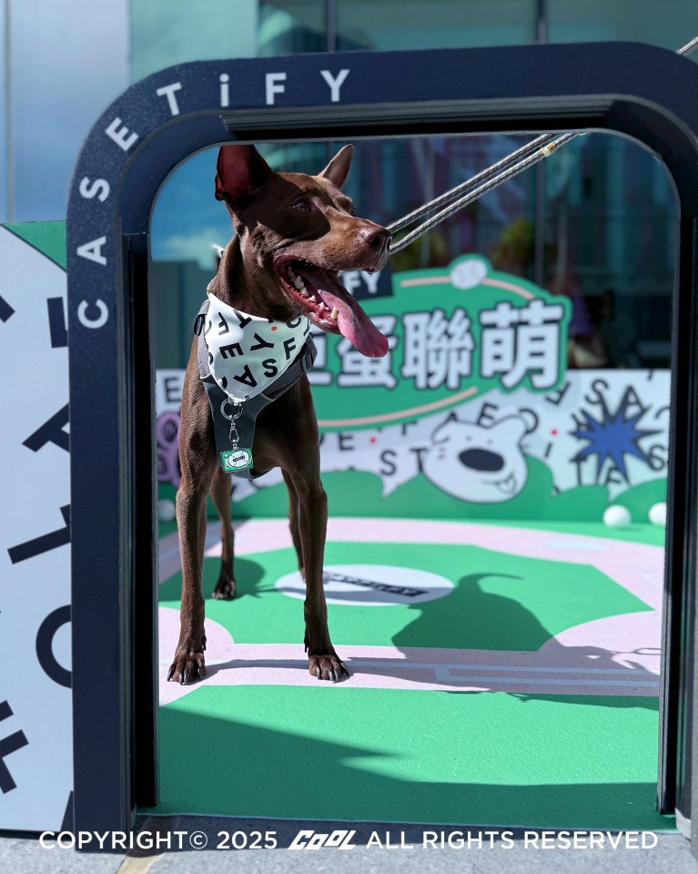 COOL開箱｜CASETiFY 大巨蛋門市 3 亮點！首創 3C x 餐飲店中店、棒球大聯「萌」可愛登場