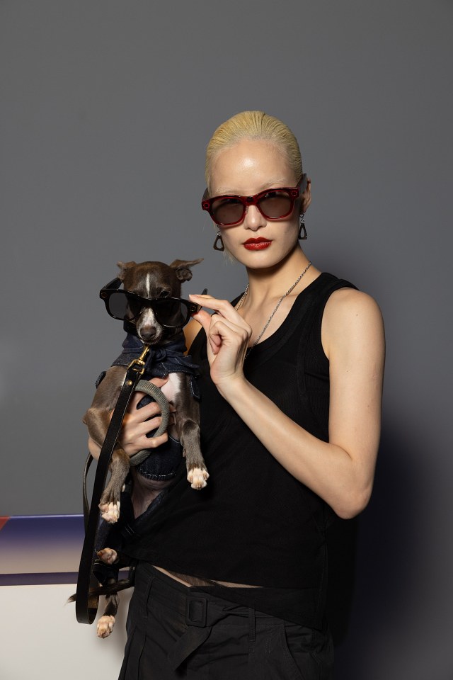 HTC VIVE Eagle 智慧眼鏡