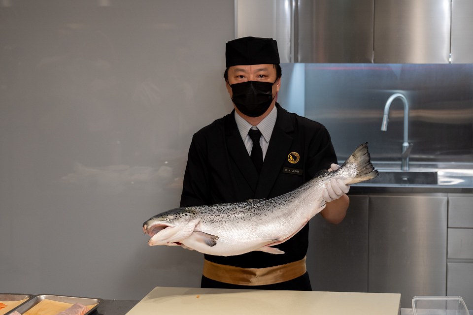 爭鮮堅持一週六天「天天空運、挪威直送」，將極致鮮度的鮭魚送達全台門市。