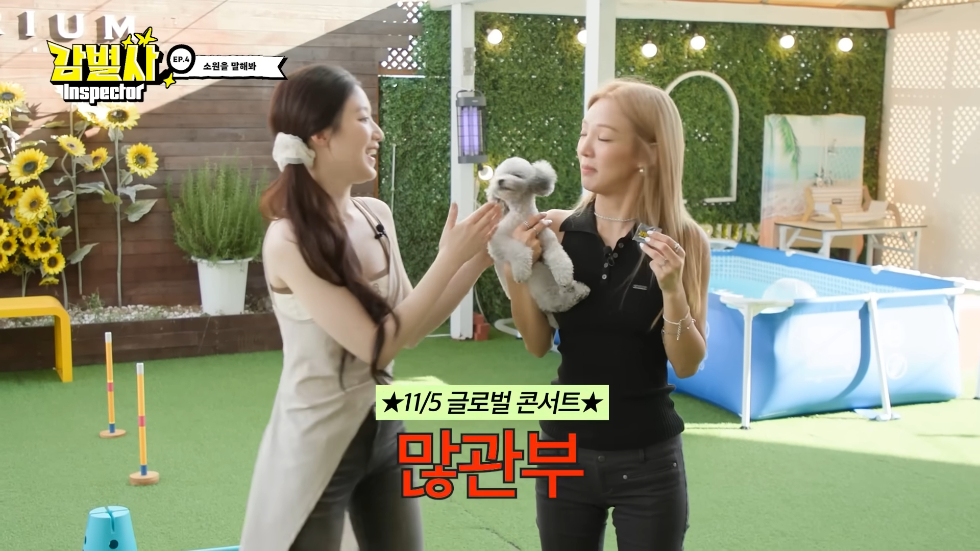 葉舒華即將來台開唱？《鑑定師》演唱會預定於 11 月 15 日在 TICC 舉行！