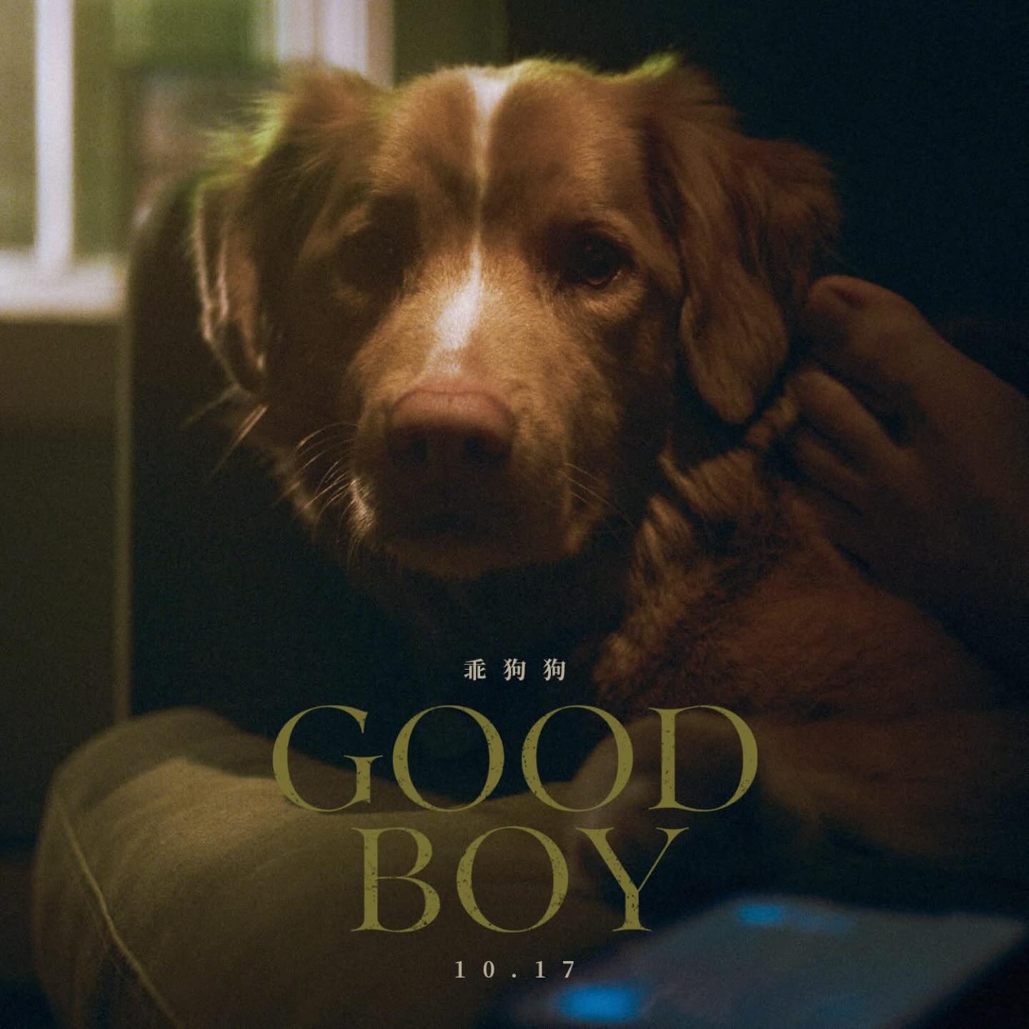 大受好評「狗狗」視角恐怖片《乖狗狗》確定將於 10 月 17 日於台灣上映
