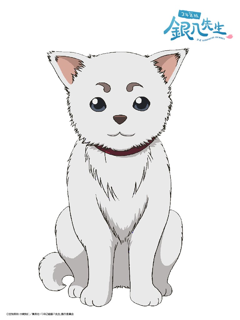 2025 繼續永支《銀魂》！《3 年 Z 班銀八老師》動畫將於 10 月 6 日正式開播