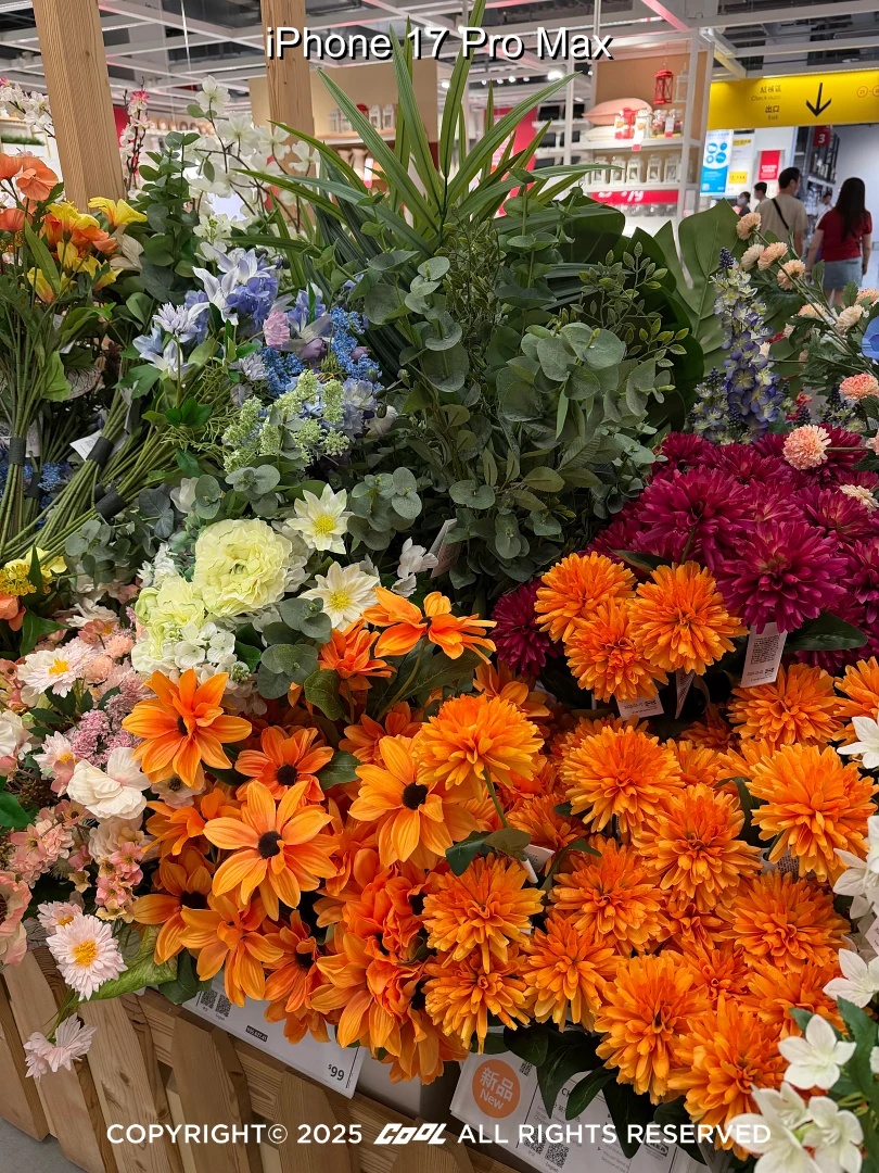 COOL開箱｜iPhone 17 Pro Max 值不值得升級？最強相機系統、外型與效能體驗分享