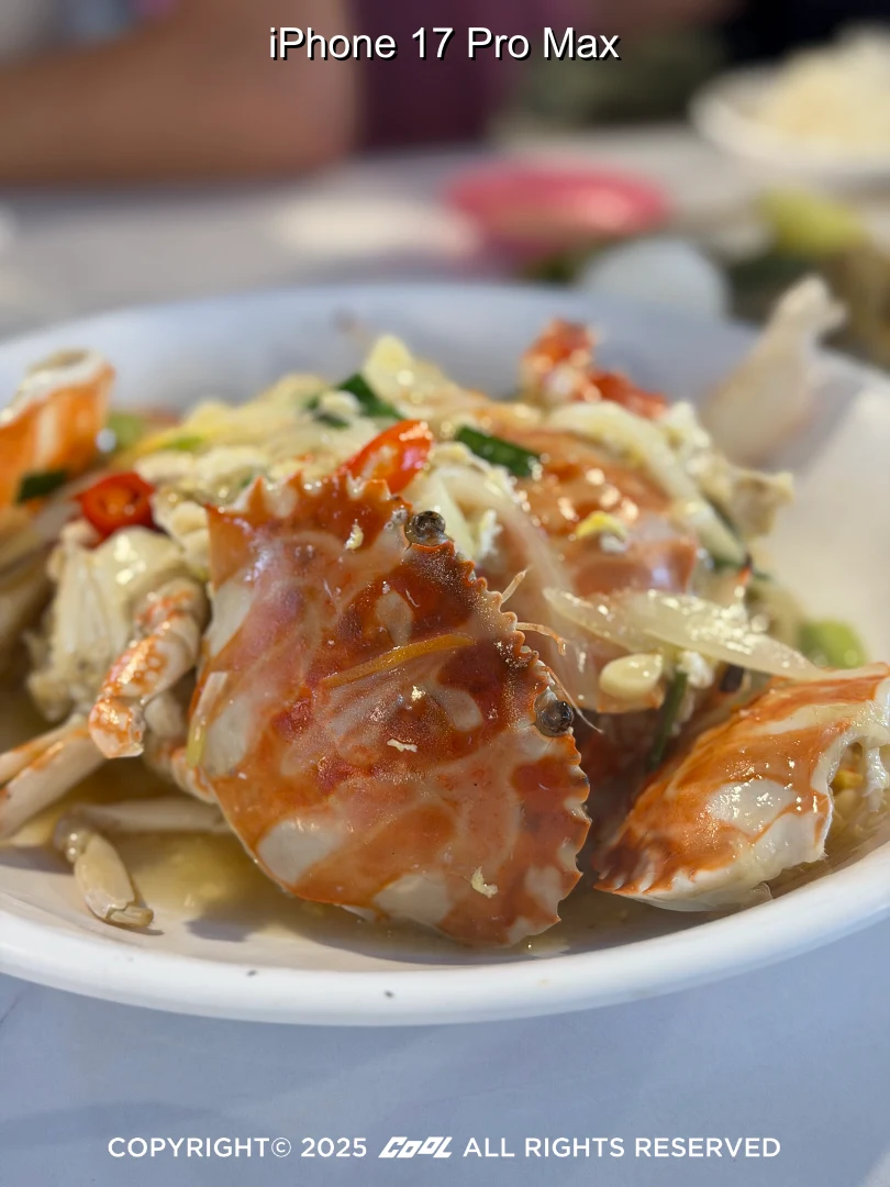 COOL開箱｜iPhone 17 Pro Max 值不值得升級？最強相機系統、外型與效能體驗分享