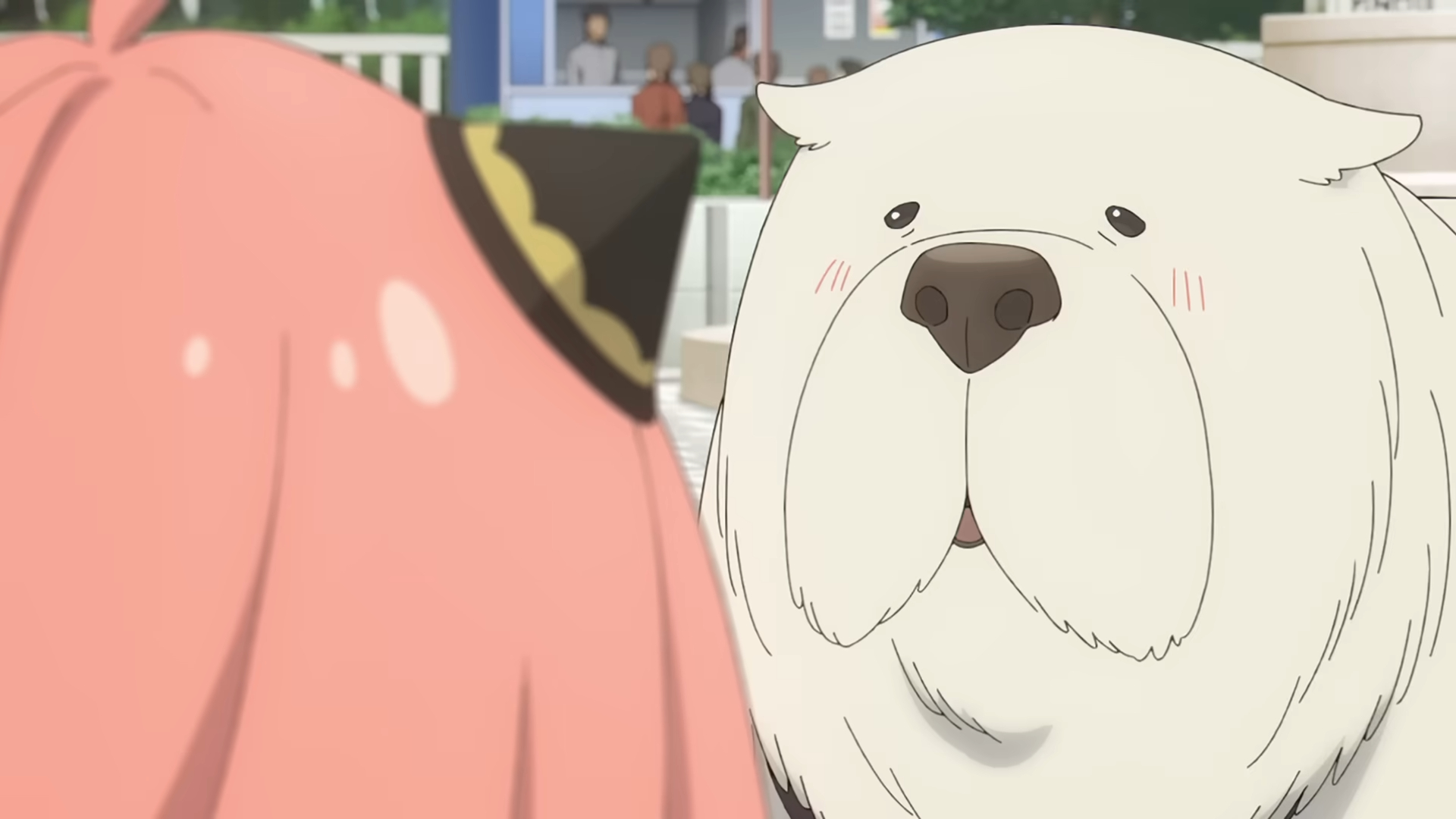 《SPY×FAMILY 間諜家家酒》第三季全新預告登場！幾田莉拉演唱 ED 首次公開！