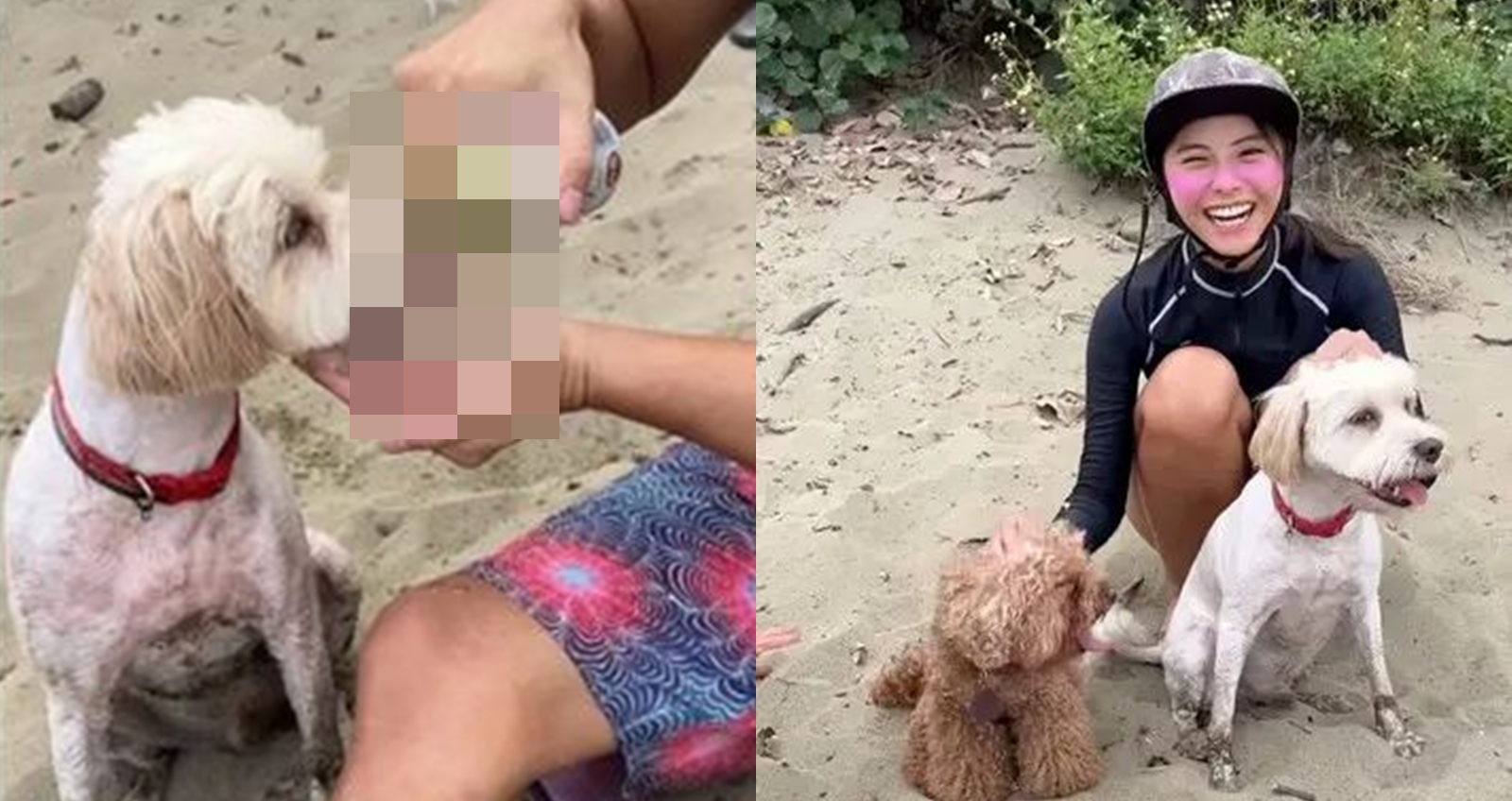 網紅若盈PO出一段出遊影片，看到竟餵狗喝酒。（圖：IG）