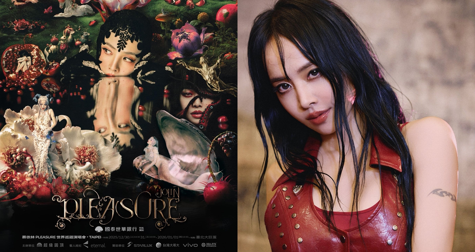 蔡依林首度唱進大巨蛋。(圖:臉書)