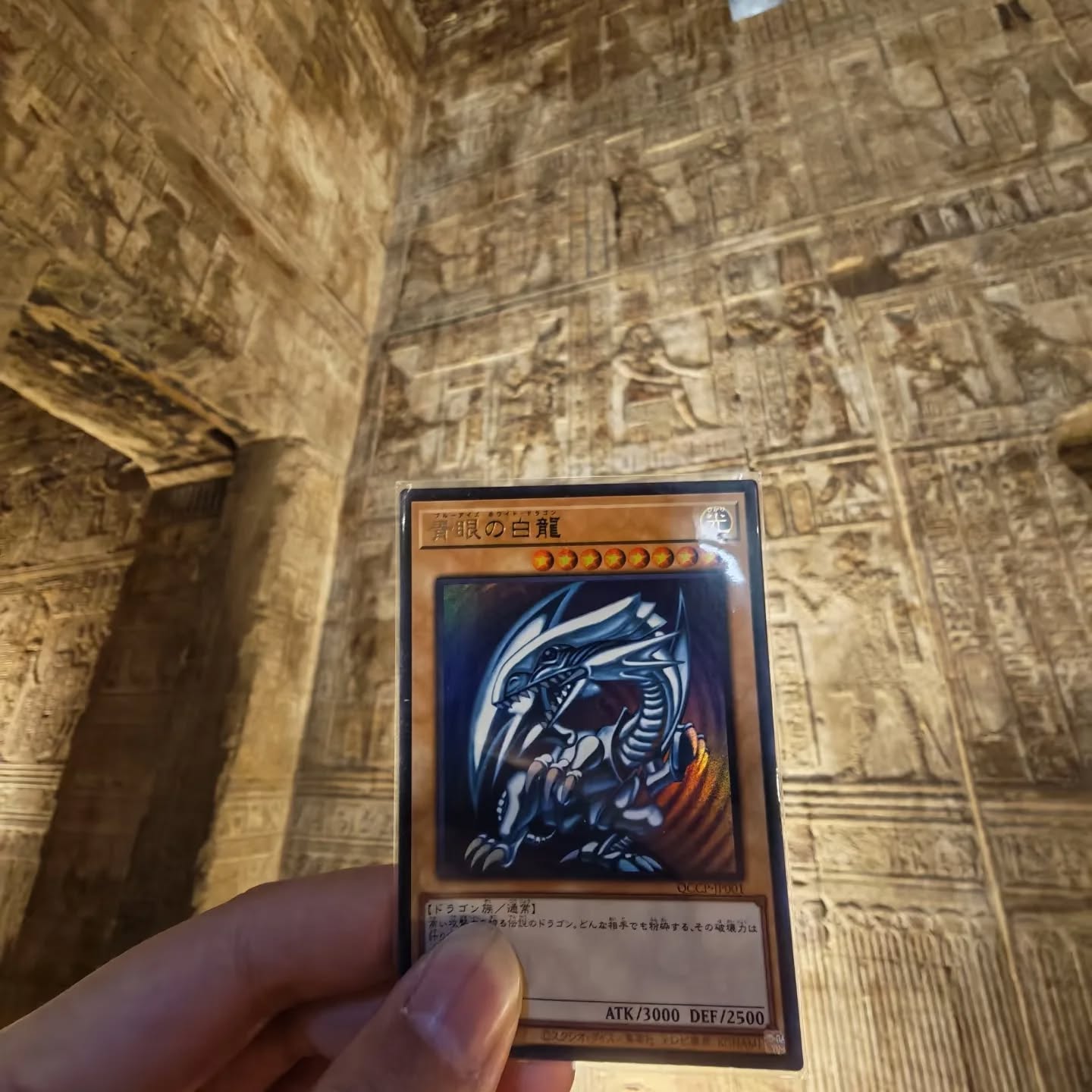 這才是真正的「決鬥者精神」！《遊戲王》狂粉到埃及實體召喚引熱議