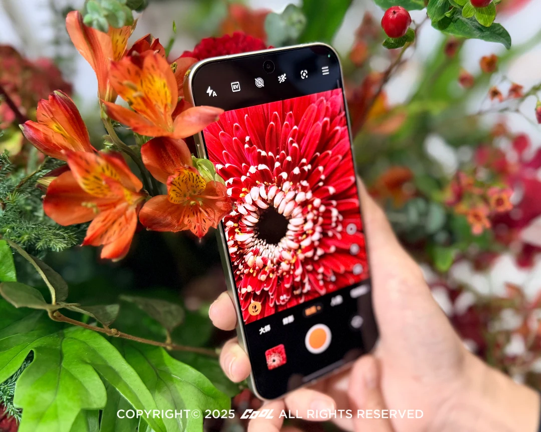 透過長焦微距，把葉脈、花瓣絨毛、植物細節放大到肉眼都沒看過的程度。