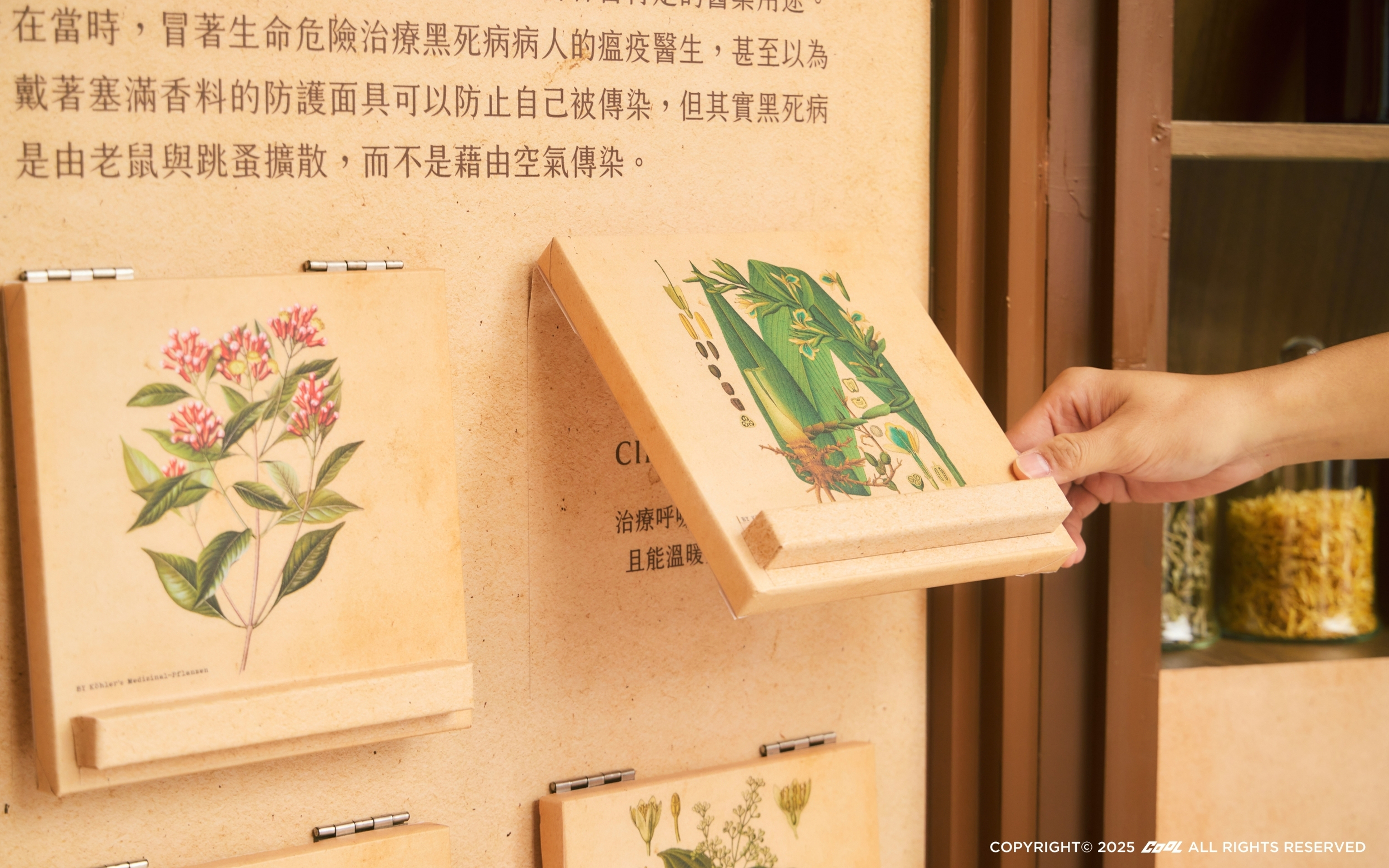 茶裏王 x 愛・Sharing《香氛花園》不用出國，也能沈浸威尼斯的浪漫！