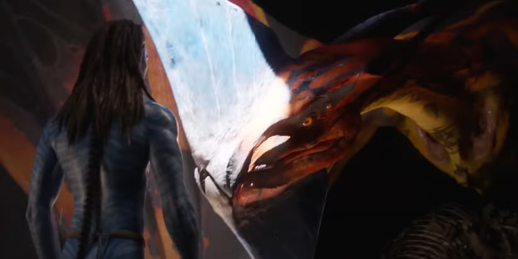 托魯克瑪托即將歸來