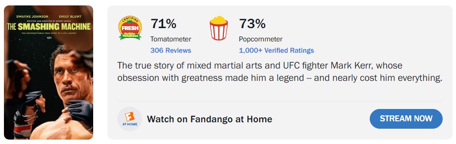 《重擊人生》爛番茄指數出爐