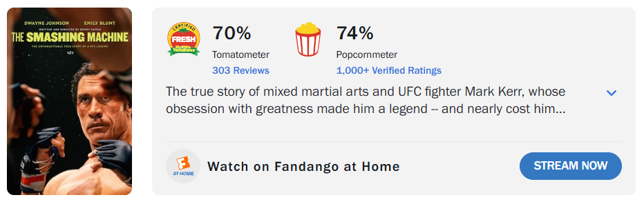 《重擊人生》爛番茄評價