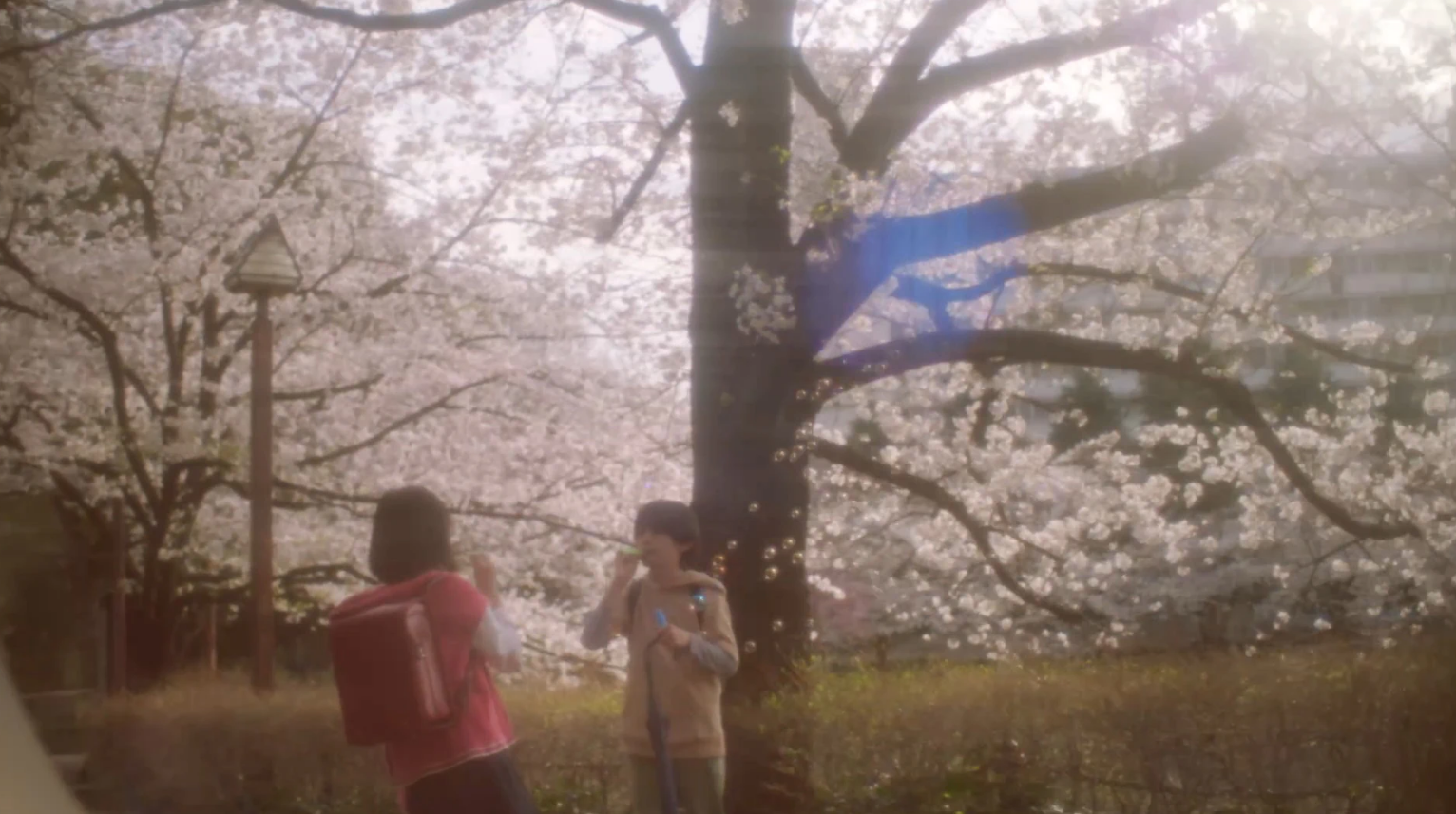 《秒速5公分真人版》劇照。