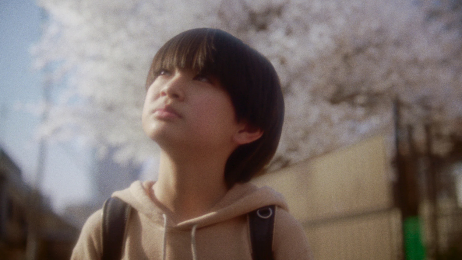 《秒速5公分真人版》劇照。