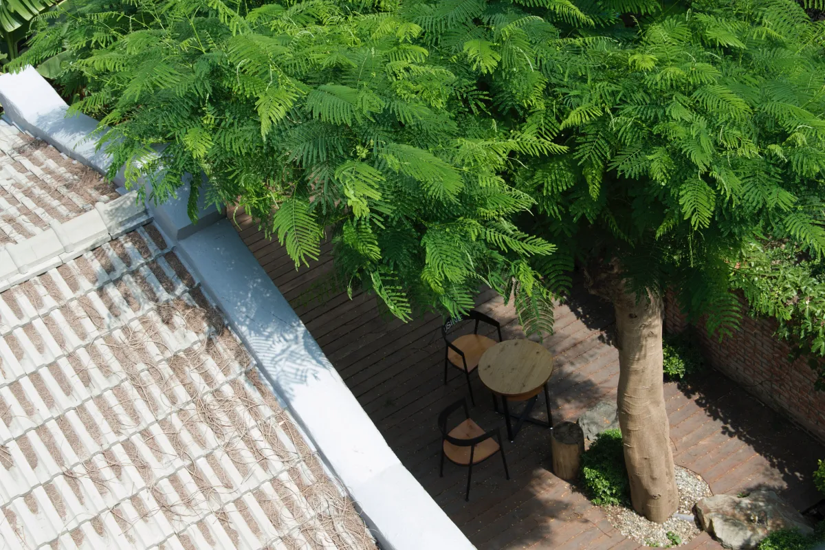 「巷弄X台南」隱身中西區巷弄內，推開木門可見日式庭院中種植著一棵鳳凰木，於府城喧囂中打造「閑」靜的避風港。