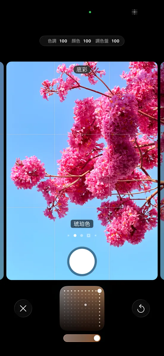 iPhone 相機內建的攝影風格提供使用者色調的選擇與調整功能