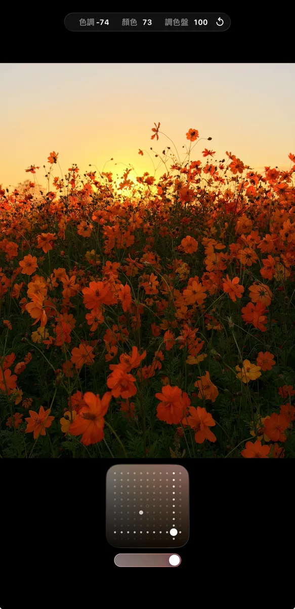 捕捉夕陽時刻,或拍攝風景題材時,建議將攝影風格這定為「玫瑰金色」。