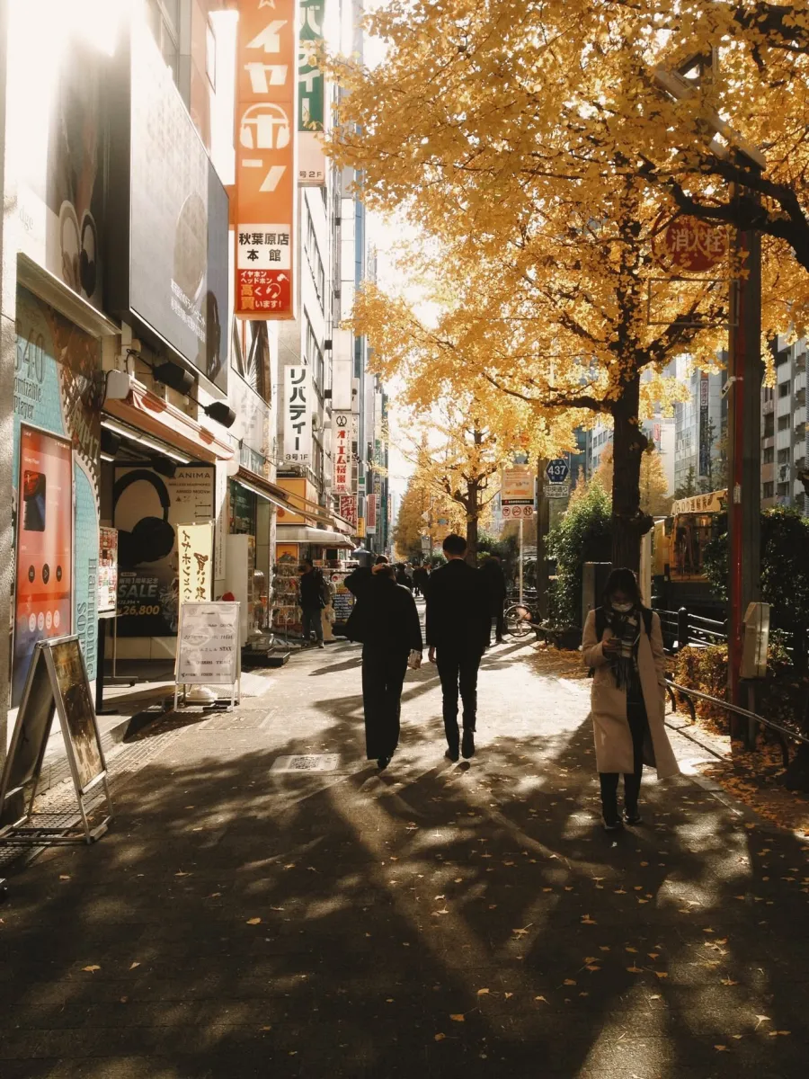 RNI Films 是一款後製調色軟體