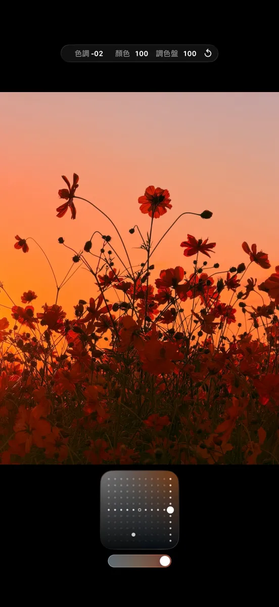 捕捉夕陽時刻,或拍攝風景題材時,建議將iPhone相機攝影風格設定為「玫瑰金色」。