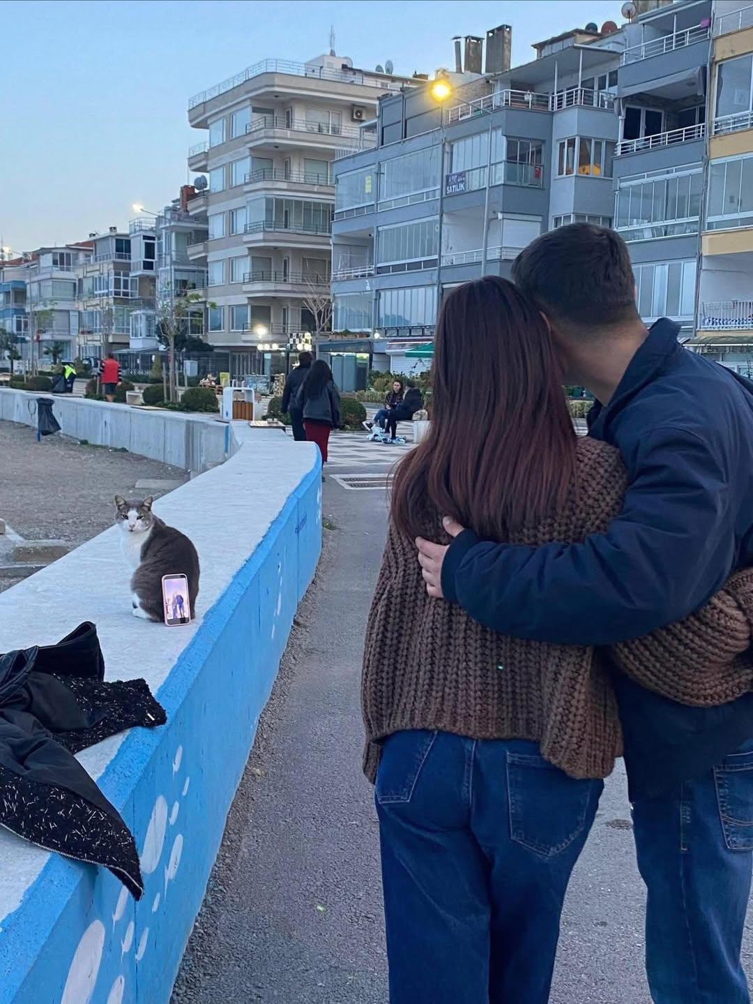 土耳其特產「貓咪三腳架」爆紅！網笑讚：自拍最佳助手！