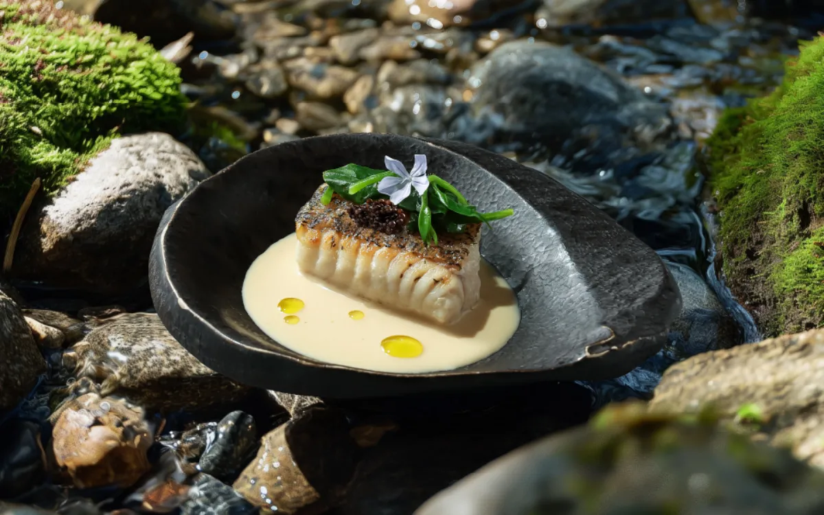 阪前鐵板燒限定活動 魚子醬龍虎斑佐乳酪味噌