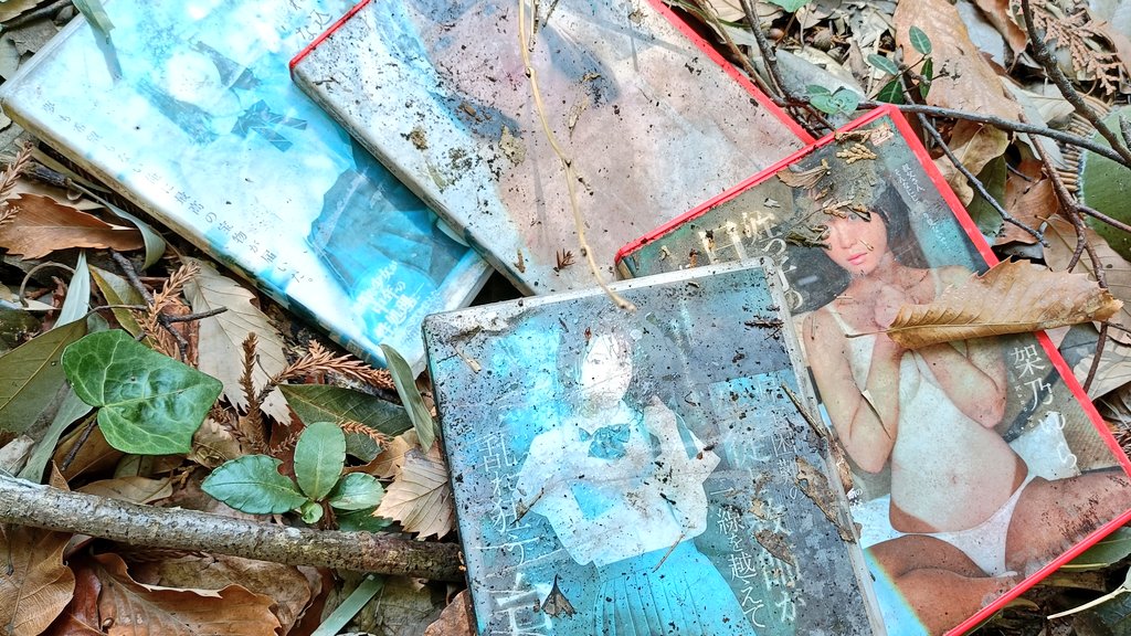 日本昆蟲愛好者，意外在山林間發現大量遭隨意丟棄的成人影像包裝盒。