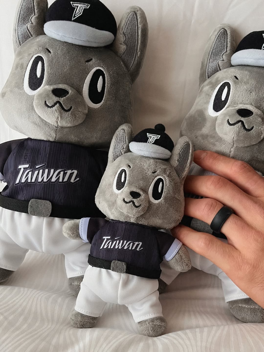 TEAM TAIWAN 吉祥物歐告其實是台灣犬原型