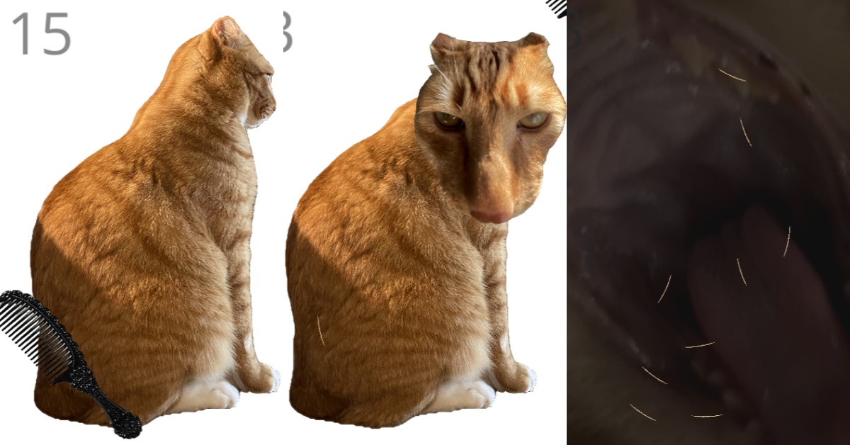 《Brush Jjaemu》遊戲畫面