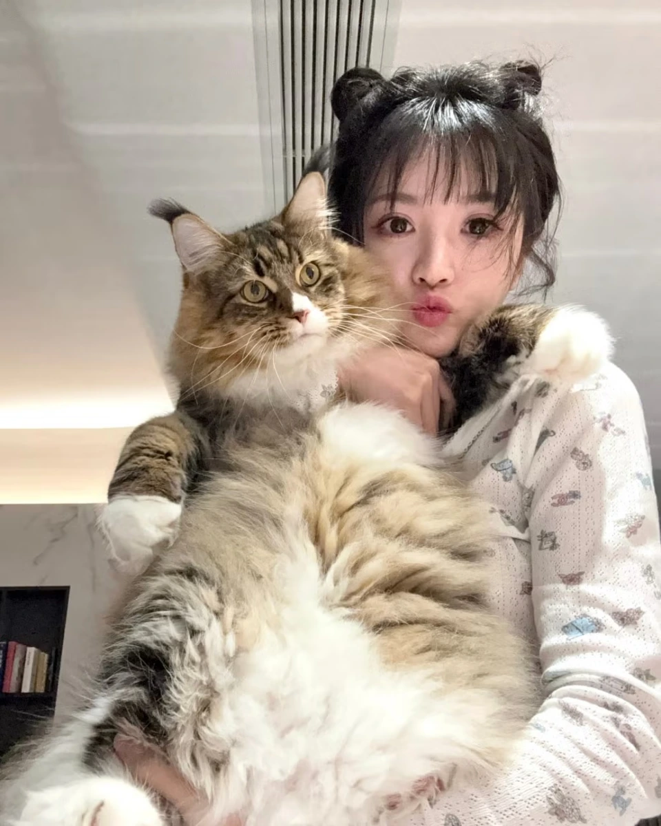 田曦薇私下是專業貓奴，靈動氣質神似「貓系妖精」